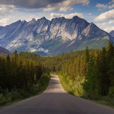  Fraser Valley